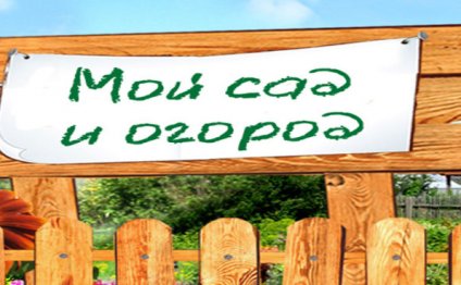 Мой сад и огород