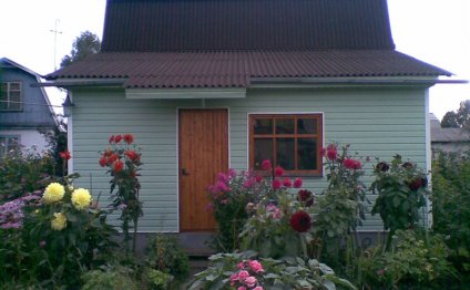 подробное содержание всех