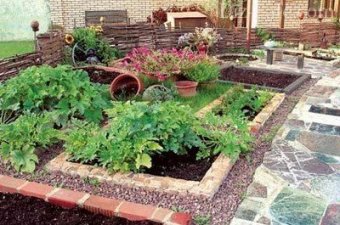 Декоративный огород – украшение участка