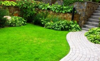 Газон на даче ландшафтный дизайн