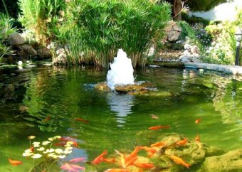 ландшафтный дизайн дачного участка