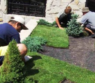 настил рулонного газона