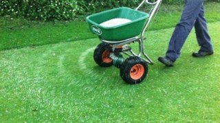 подкормка газона